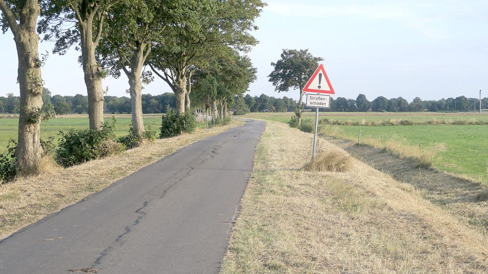 Die abgemähten Seitenstreifen an Ostfrieslands Straßen machen Lebensraum für Pflanzen und Tiere kaum noch möglich. Foto: BUND Ostfriesland