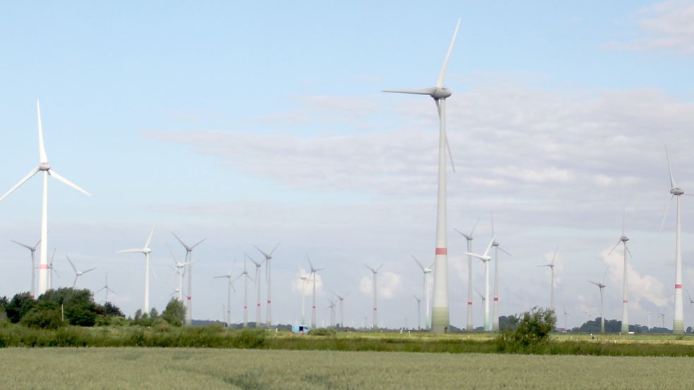 Ein Windpark in Ostfriesland. Foto: Oltmanns