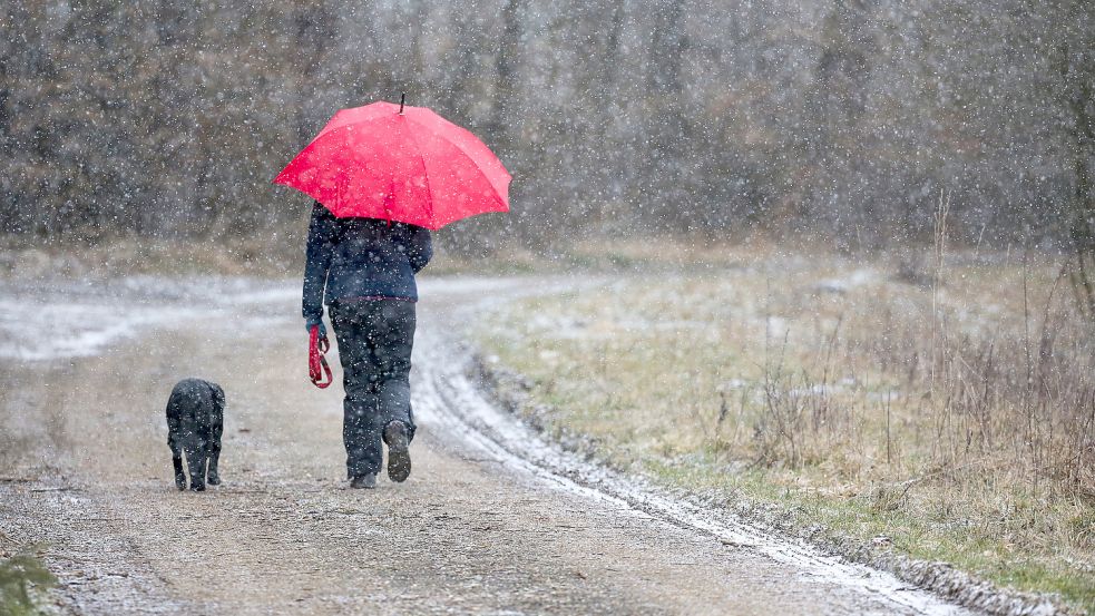 Schnee, Sturm und Regen: In den kommenden Tagen wird das Wetter ungemütlich. Foto: dpa/Thomas Warnack