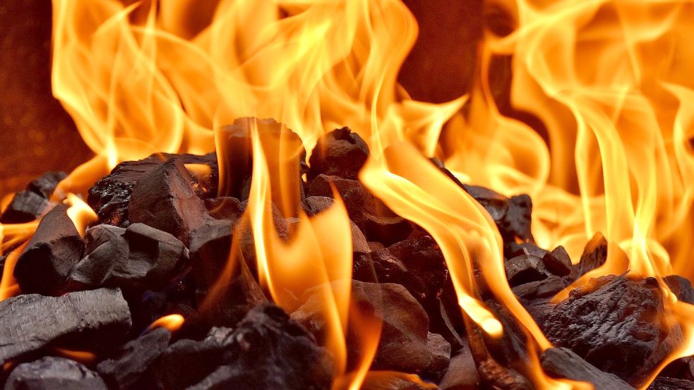 Es kommt darauf an, wie man die Kohle fixiert. Foto: Pixabay/Alexas_Fotos
