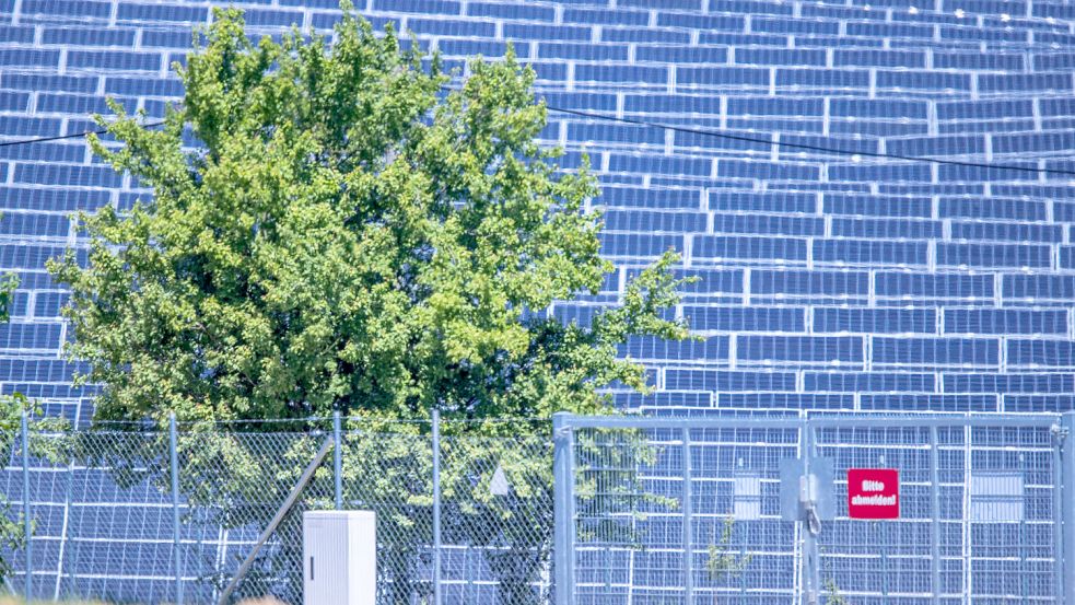 In Breinermoor könnte ein riesiger Photovoltaik-Park entstehen. Foto: Büttner/DPA