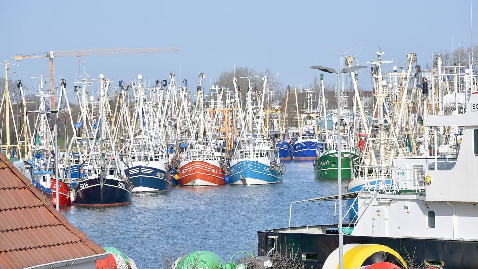 Mehr als 100 Kutter lagen im Büsumer Hafen. Sie kamen von der gesamten Nordseeküste, davon etwa 15 Kutter aus Ostfriesland. Foto: Wagenaar
