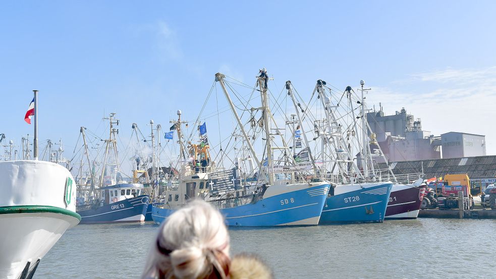 Während der Agrarministerkonferenz in Büsum lagen mehr als 100 Kutter im Hafen des Ortes in Schleswig-Holstein. Die Fischer demonstrierten gegen die geplante EU-Verordnung. Foto: Wagenaar