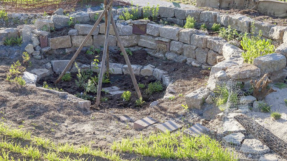 Ein Kraterbeet mit Kräutern und Gemüse hat Zonen mit unterschiedlicher Feuchtigkeit. Foto: Martin Staffler/Nabu