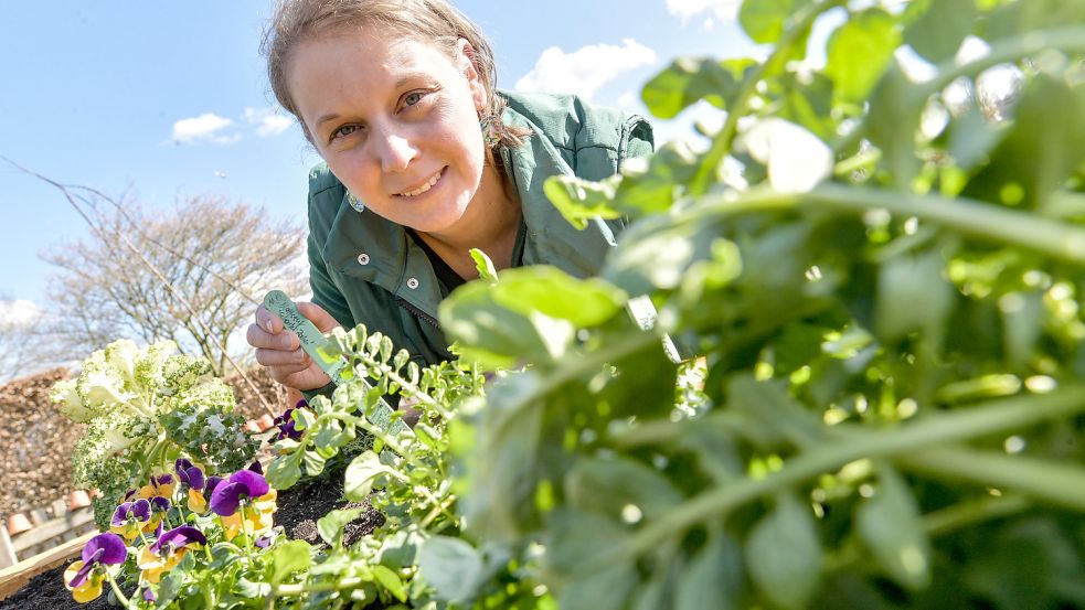 Nadja Krause von der Gartenakademie der Landwirtschaftskammer gibt Tipps fürs Frühbeet. Fotos: Ortgies