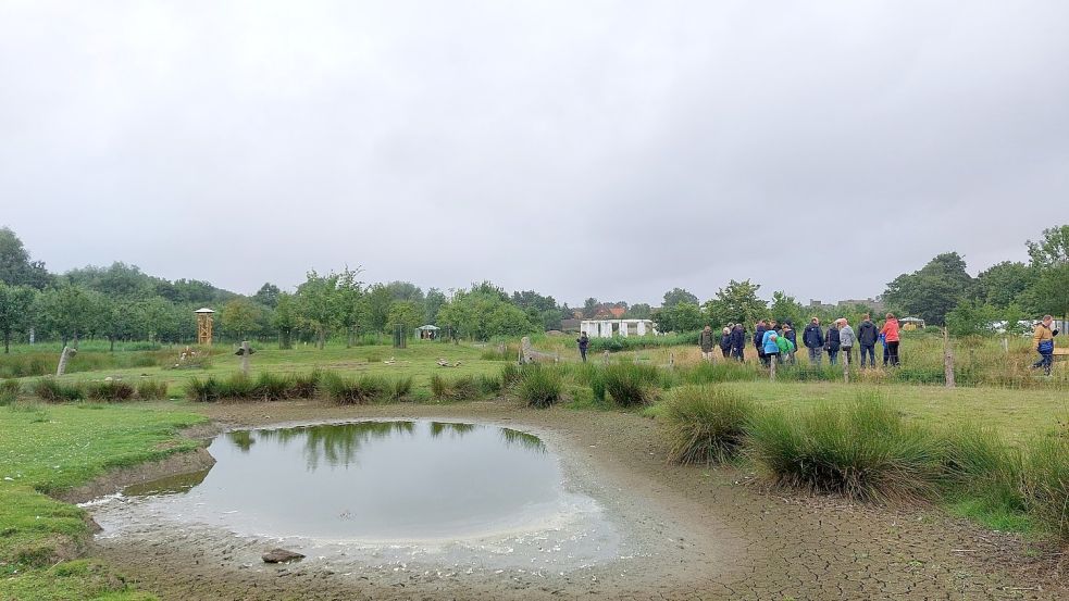 Auf dem Gelände des Emder Ökowerks wurde vor Jahrzehnten noch alles an die Entwässerung gesetzt. Jetzt fällt der Teich im Sommer trocken und die Apfelbäume müssen bewässert werden. Foto: Hanssen/Archiv