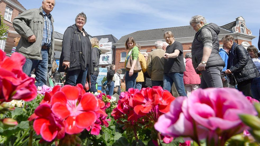 Geranien haben dem Pflanzenmarkt in Aurich seinen Namen gegeben.