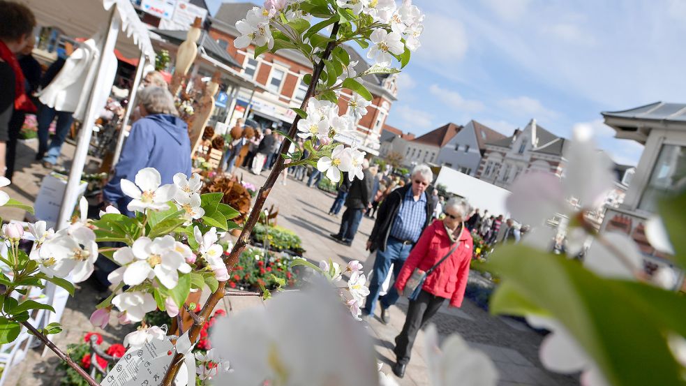 Obstbäume können auf dem Geranienmarkt auch erworben werden.