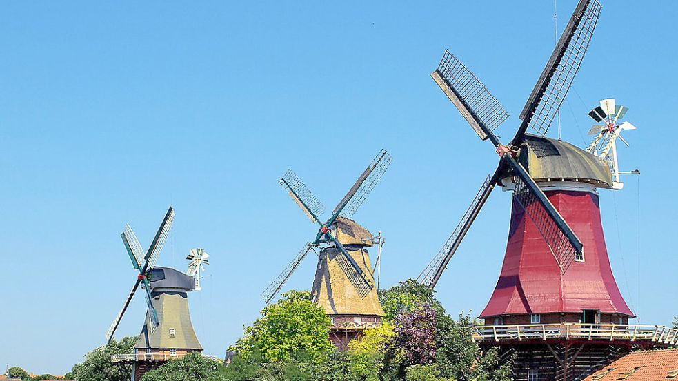 Die Greetsieler "Ampelkoalitionäre": Aus den Zwillingen sind Drillinge geworden. Fotomontage: Touristik-GmbH Krummhörn-Greetsiel.