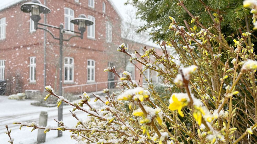 Weiße Straßen am Freitagvormittag bei der Kirche in Detern. Foto: Leonhard