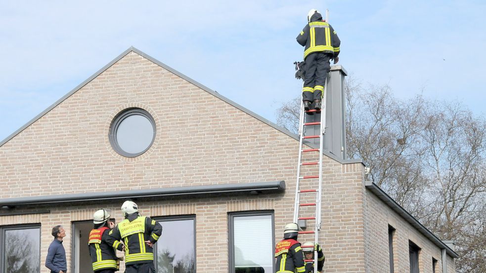 Für die Feuerwehrleute war es schwierig, an das Tier heranzukommen. Foto: Dahlmann