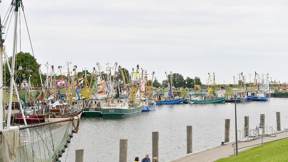 Ein Blick in den Hafen von Greetsiel mit den Kuttern der Krabbenfischer. Foto: Archiv/Wagenaar