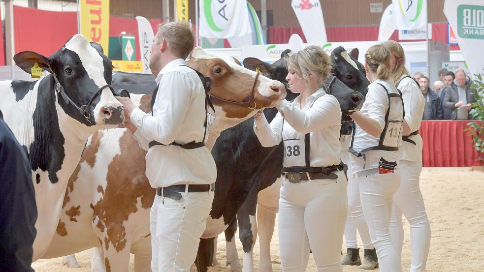 An diesem Mittwoch wird in Leer die neue „Miss Ostfriesland“ gesucht. Foto: Ortgies