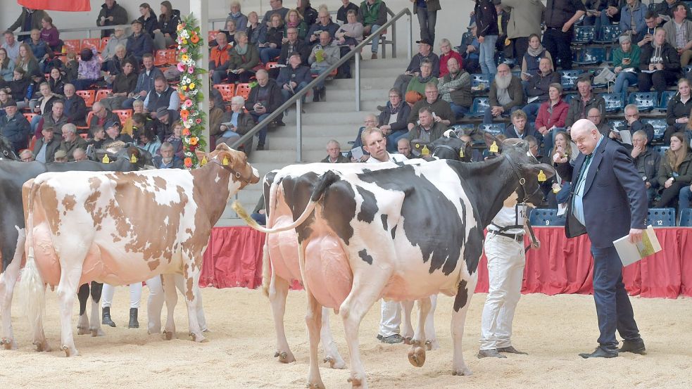 Rund 100 Tiere stellen sich zur Wahl. Foto: Ortgies