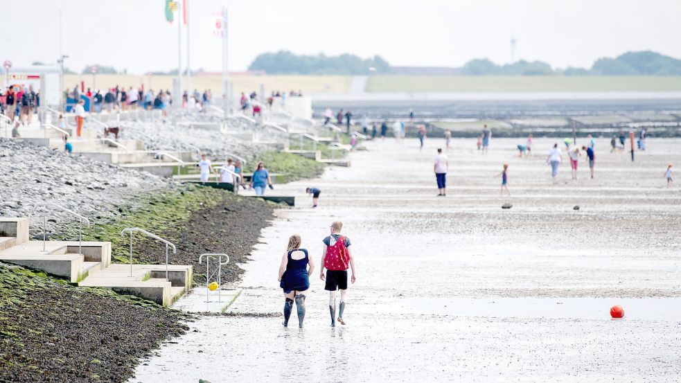 Zahlreiche Touristen gehen bei Niedrigwasser durch den Schlick des Wattenmeeres. Diesen Schlick, das Wasser und die Luft will der Kurdirektor wieder nutzen, damit das Heilbad Norddeich auch ein Heilbad bleibt. Foto: DPA