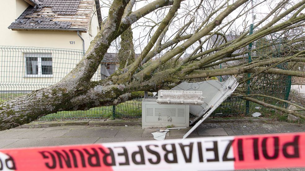 Im Februar 2022 hatten mehrere Stürme schwere Schäden angerichtet. Foto: Archiv/Gentsch/dpa