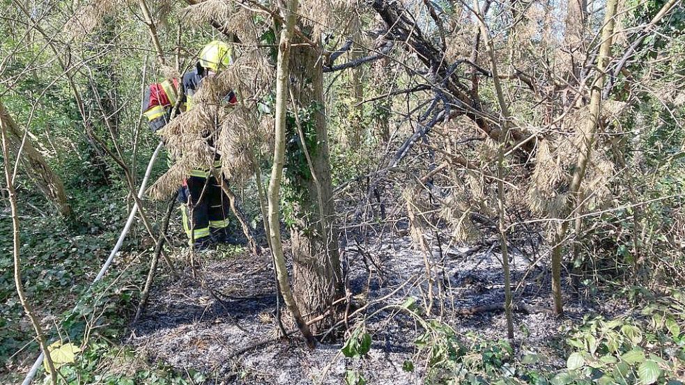 Die Feuerwehr löschte den Brand. Foto: Wolters