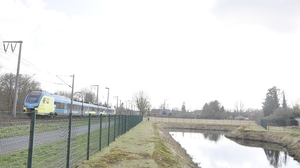Auf der Fläche hinter dem Regenrückhaltebecken werden der Bauverein und Real-Immobilien ein neues Quartier bauen. Foto: Wolters/Archiv