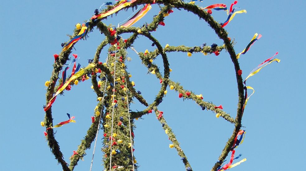 In Ostfriesland werden am Vorabend des 1. Mai wieder vielerorts Maibäume aufgestellt. Foto: H. Müller/Archiv