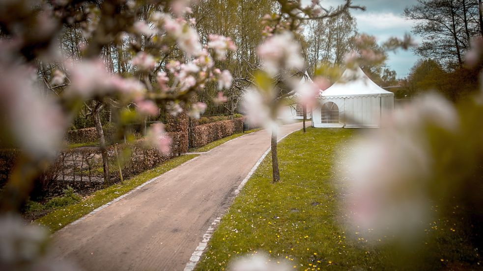 Am Freitag standen nur die ersten Pagodenzelte. Am Wochenende wurden die weiteren Stände aufgebaut, damit Besucherscharen unter anderem unter Kirschblüten hindurch über die „Landpartie“ im Gartenpark flanieren können. Foto: Cordsen