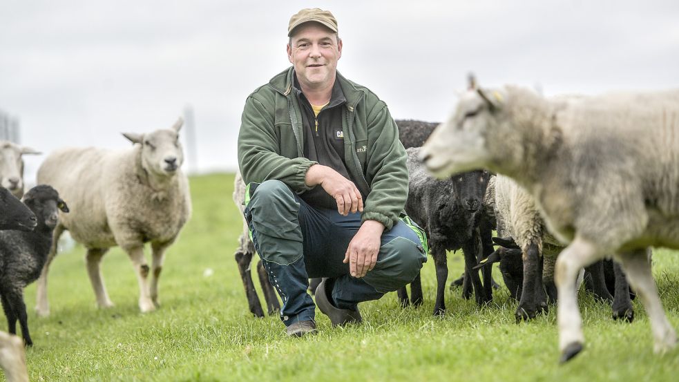 Dennis Bonsemeyer ist Deichschäfer. Er hat schon über 30 Schafe durch Risse verloren. Foto: Ortgies