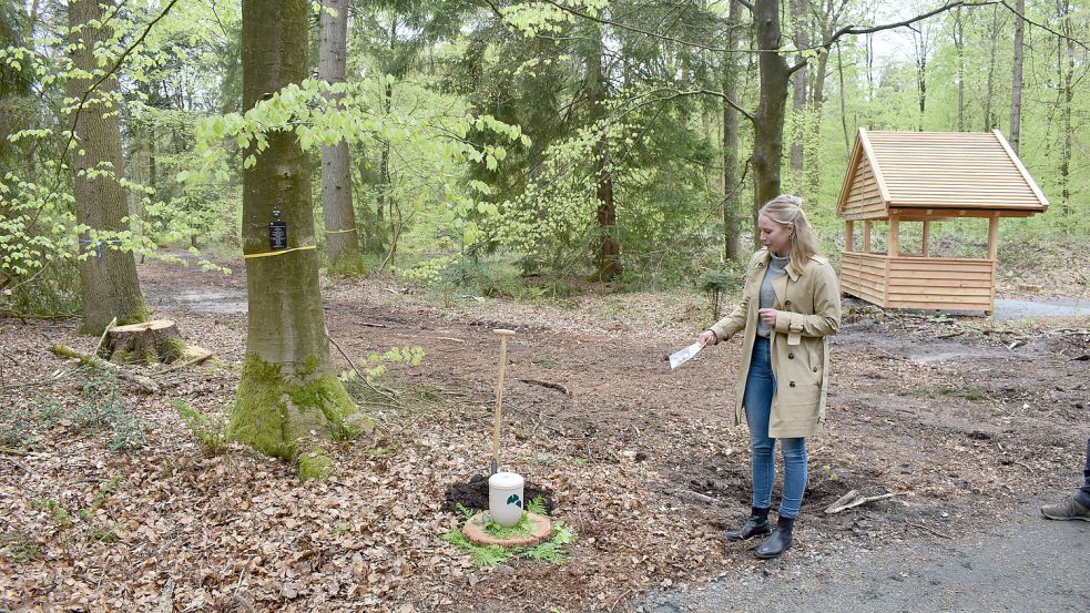 Charlotte Baumann von der Friedwald GmbH zeigt einen der Grabplätze im neuen Wittmunder Friedwald. Im Hintergrund ist der Unterstand für Trauerfeiern zu erkennen. Foto: Hochmann