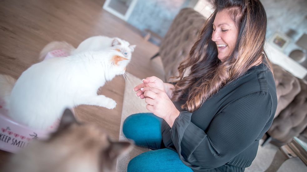 Drei ihrer vier erwachsenen Birma-Katzen haben viel Spaß am Klicker-Training samt Leckerli-Belohnungen. Eine, die laut Miriam Marx aus einer schlechten Zucht in Bayern stammt, mag das nicht und hält sich raus. Fotos: Cordsen