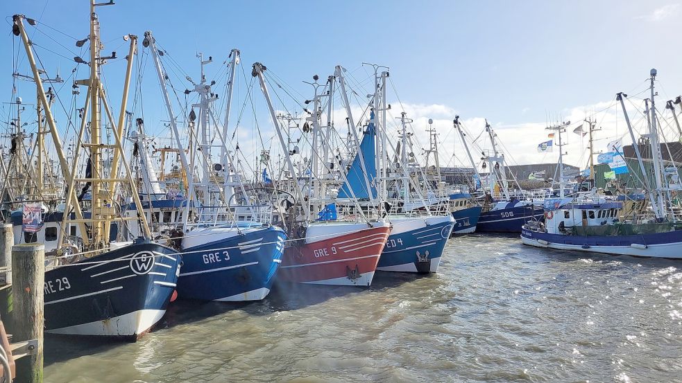 Die Anzahl der Fischereifahrzeuge in der niedersächsischen Küstenfischerei ist seit Jahren rückläufig. Das Durchschnittsalter der Kutter liegt bei über 40 Jahren. Foto: Oberdörffer/LWK Niedersachsen