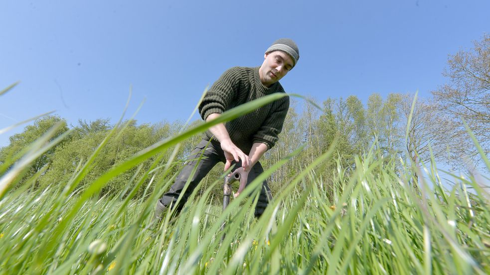 Hier könnte ihr Agroforst entstehen: Nils Harbers dreht eine Bodenprobe aus dem Erdreich. Sie entscheidet über den Standort der Bäume. Foto: Ortgies