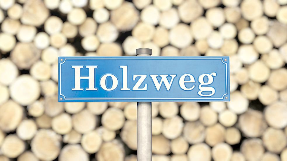 Wer möchte das schon - auf dem Holzweg sein? Foto: imago images/IlluPics