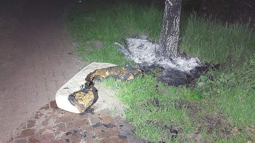 Die Matratze war an einen Baum gelehnt. Foto: Wolters