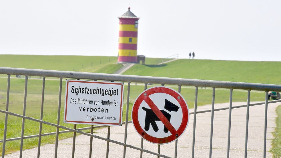 Die Aufschrift „Schafzuchtgebiet“ sorgt bei manchem Besucher in Verbindung mit dem Hundeverbot für Verwirrung: Warum darf Bello auch dann nicht auf den Krummhörner Deich, wenn weit und breit kein Schaf zu sehen ist? Foto: Wagenaar