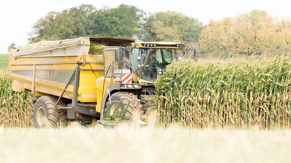 Nicht nur bei der Ernte im Herbst gelten besondere Bedingungen bei den Arbeitszeiten, auch im Frühjahr gibt es Ausnahmen. Foot: Archiv