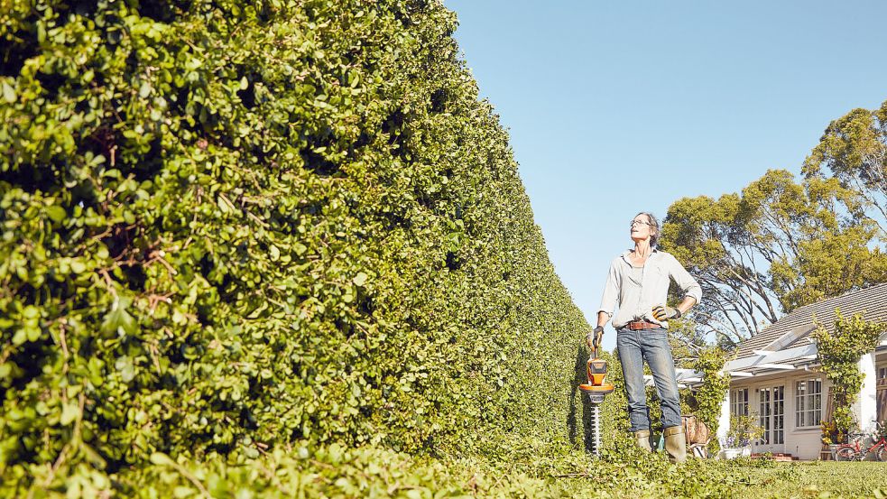 Viel schöner als ein Drahtzaun: eine grüne Hecke. Foto: djd/Stihl/Thomas Kettner