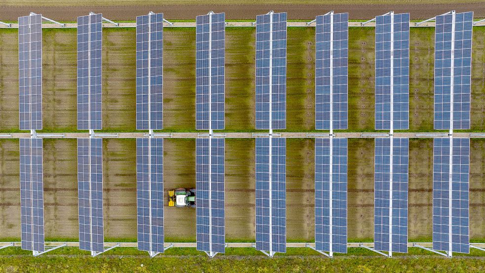 Eine Photovoltaikanlage auf einem Feld in Lüchow. In diesem Fall wird unter den Modulen zusätzlich Landwirtschaft betrieben. Foto: Schulze/dpa