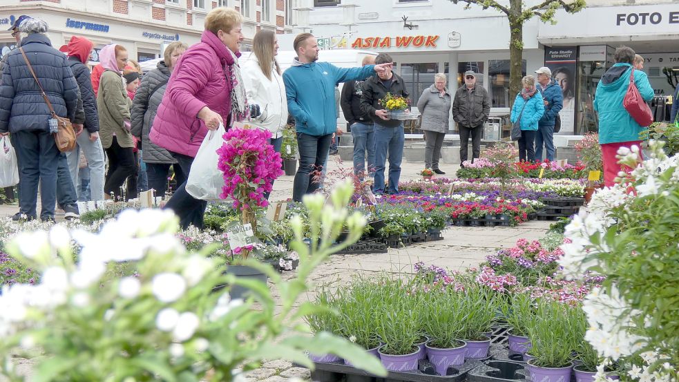 Schon am Sonntagmorgen lockte der Geranienmarkt in Aurich einige Besucher an. Fotos: Mühring