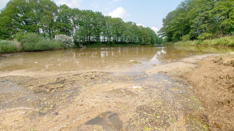 Rückschlag für ein Renaturierungsprojekt: Tausende Kubikmeter Schlamm sind zurück in das Kleingewässer geflossen. Foto: Polizei