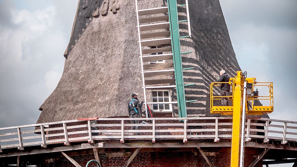 Seit Anfang der Woche waren Mitarbeiter der Mühlenbau-Firma Groot Wesseldijk aus Lochem in den Niederlanden damit befasst, die Klappen aus den Mühlenflügeln auszubauen. Foto: Cordsen