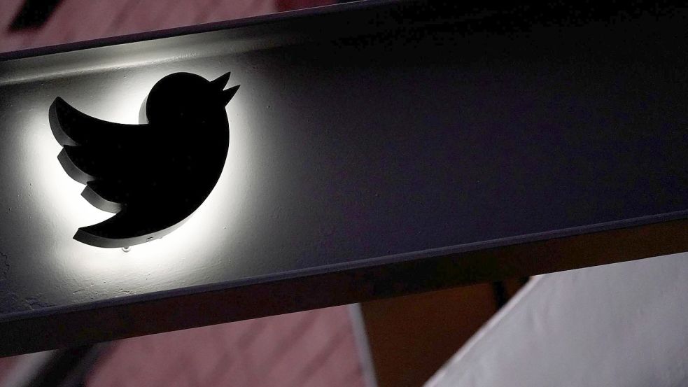 Twitter steht immer wieder für seinen Umgang mit Desinformation in der Kritik. Foto: Mary Altaffer/AP