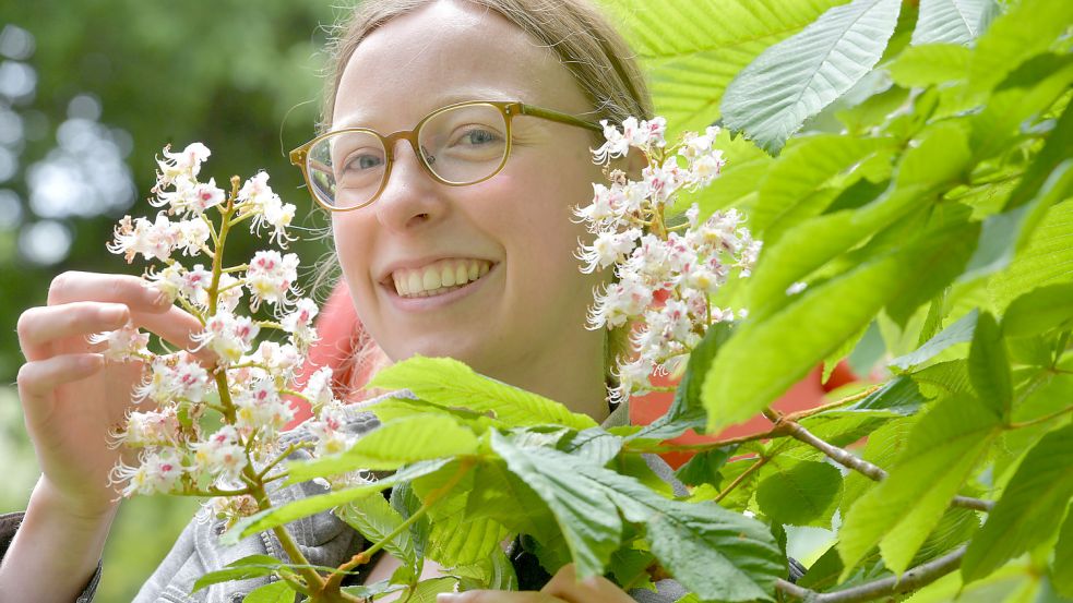 Volontärin Jasmin Oltmanns erfreut sich an der Blütenpracht einer Rosskastanie an der Emder Kesselschleuse. Foto: Ortgies