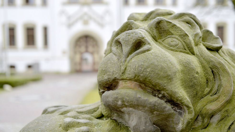 Der Mann räumte die Handlungen vor Gericht ein. Foto: Ortgies