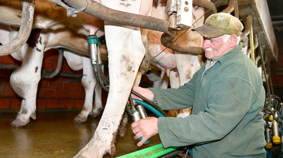 Gerd Uken hat vor wenigen Wochen seine Milchkühe verkauft. Ihm machten unter anderem die unsicheren Milchpreise zu schaffen. Foto: Archiv/Wagenaar