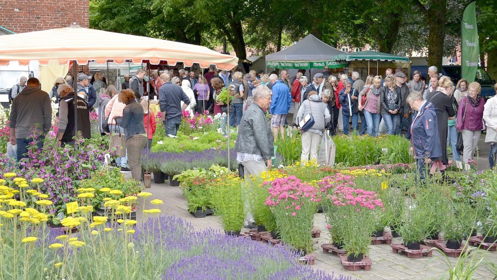 Der Norder Rosenmarkt zieht jedes Jahre viele Besucher an. Neben der Königin des Gartens sind auch viele andere Pflanzen im Angebot. Foto: Stadtverwaltung Norden