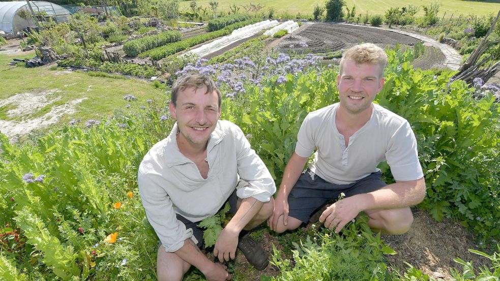 Dennis Dorst (rechts) und Tony Richter bauen in Neukamperfehn Gemüse nach traditionellem Anbau an. Sie haben das Unternehmen Kerlis gegründet. Foto: Ortgies