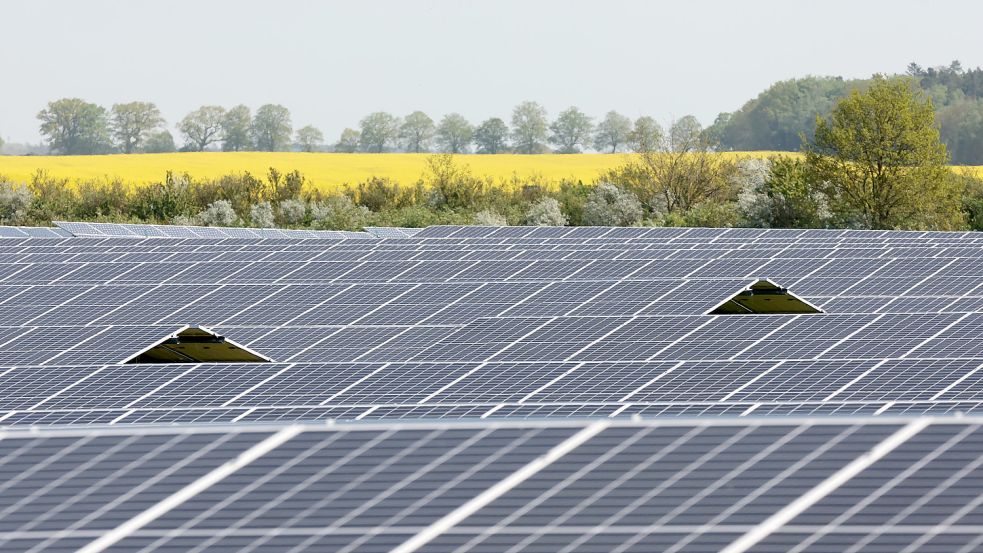 Wer Land besitzt, muss nicht auch gleich einen Solarpark besitzen. Der Vorteil ist, dass man auch „nur“ das Grundstück zur Verfügung stellen kann und eine Pachtzahlung als fixe Vergütung oder eine von der Stromerzeugung abhängige Umsatzbeteiligung erhält. Foto: dpa/Bernd Wüstneck