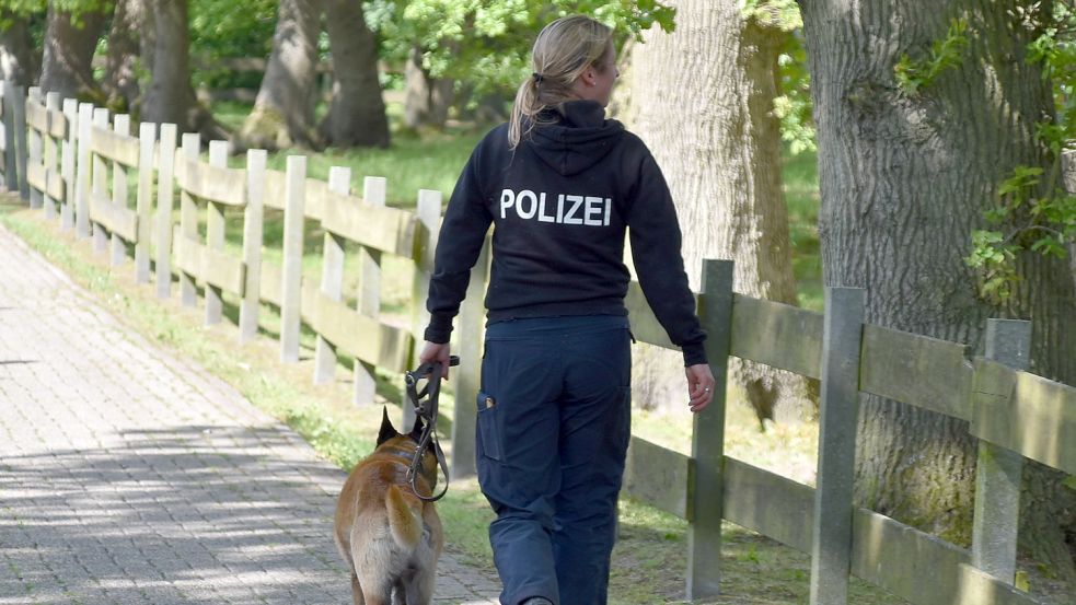 Nach einem Einbruchsversuch am 23. Mai in Langholt hatte die Polizei mit einem Großaufgebot nach dem Täter gesucht. Nun gibt es für diese und eine weitere Tat einen Tatverdächtigen. Foto: Ammermann