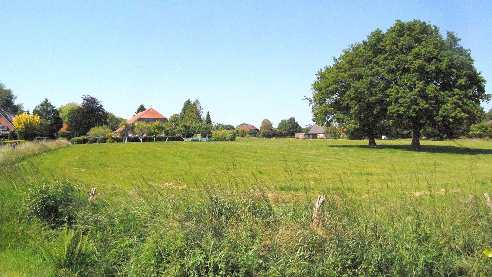 Auf dieser Wiese in Aurich-Rahe sollen zwei Vierfamilienhäuser und sechs Doppelhäuser gebaut werden. Foto: Luppen