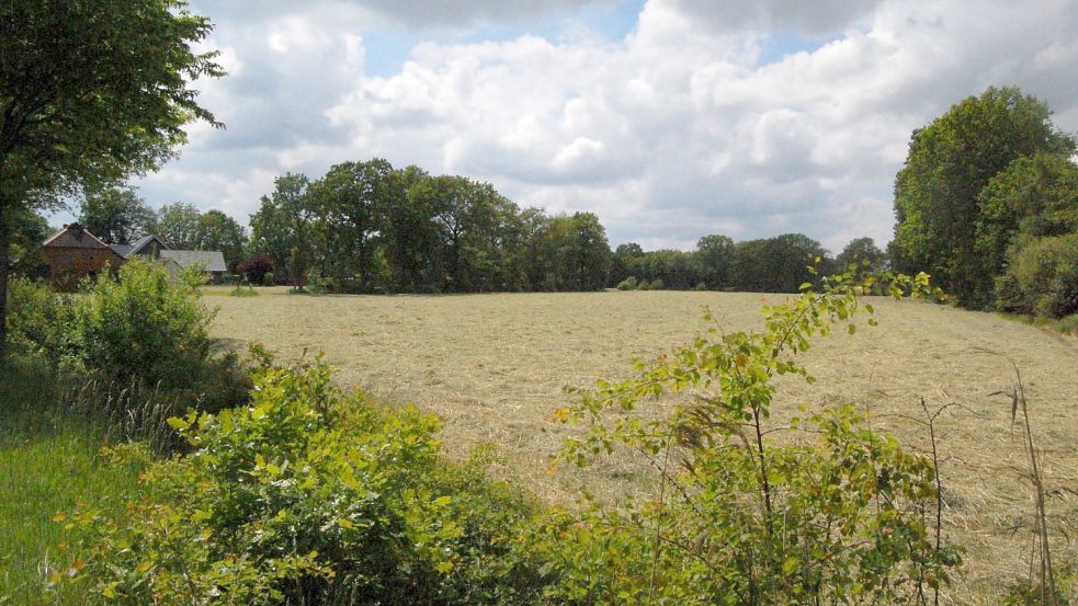 Auch in Kirchdorf ist ein Baugebiet geplant. Foto: Luppen
