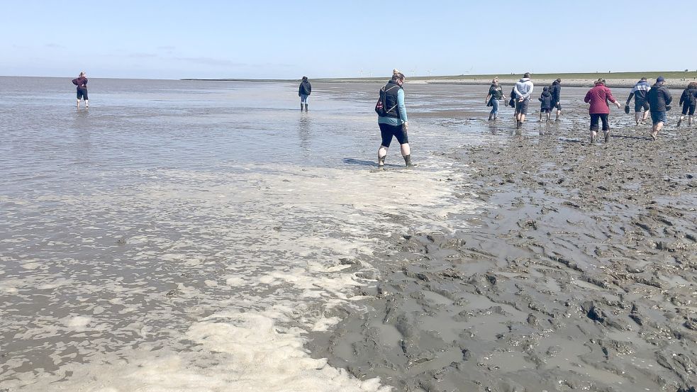 Dann kommt das Wasser doch ganz schön schnell. Foto: Oltmanns