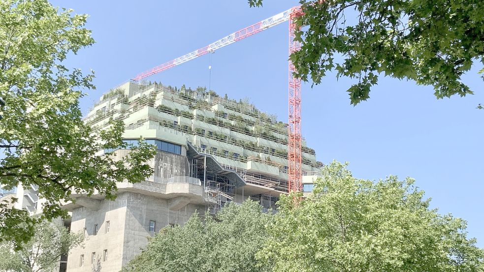 Frühlingsgefühle auf dem Betonklotz: Der fünfstöckige Aufsatz ist inzwischen mit Nadel- und Laubhölzern begrünt. Foto: Markus Lorenz